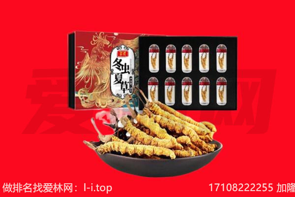 兰州回收虫草.jpg